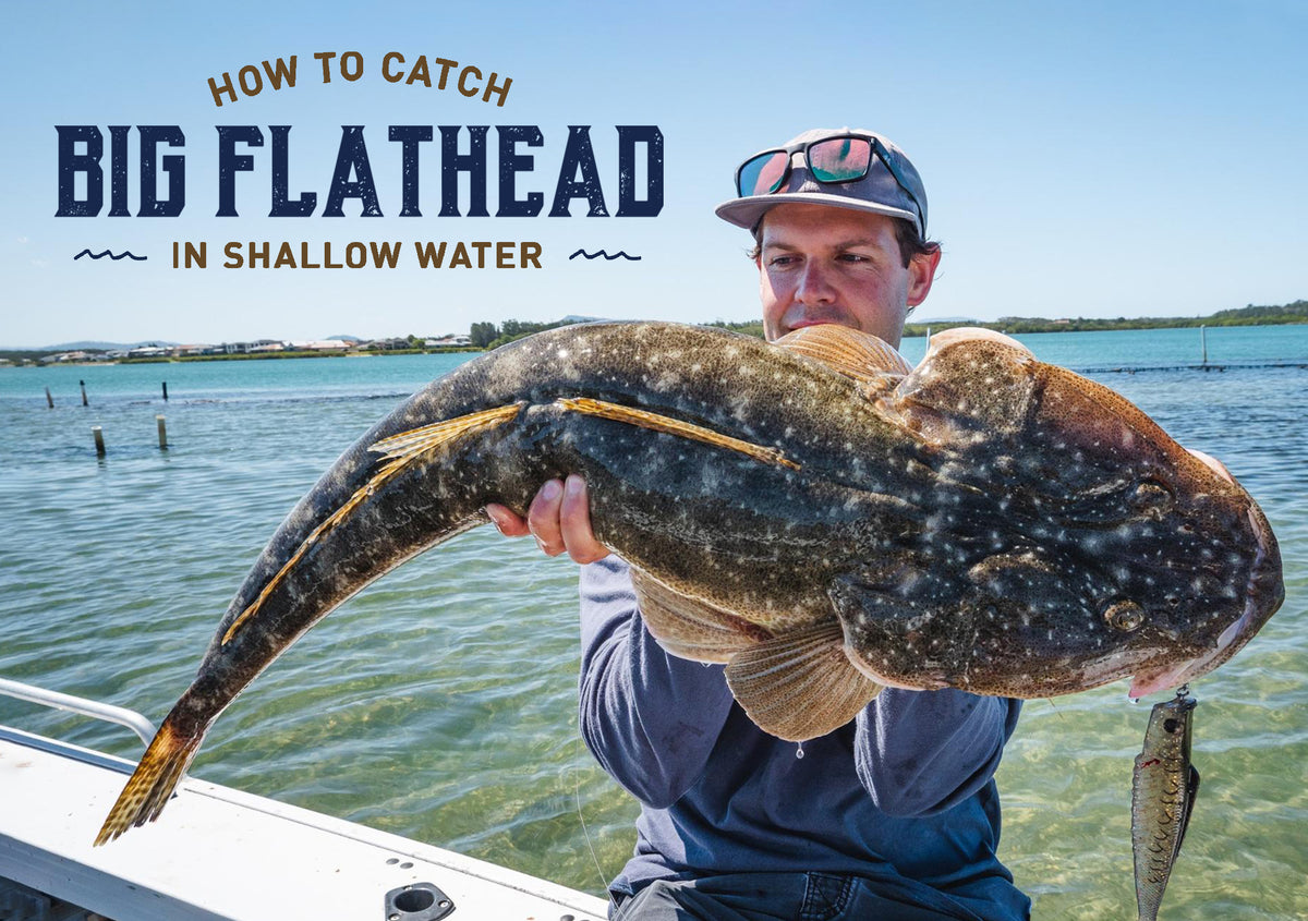 Croc Bait: How to use big lures for giant flathead - Fishing World Australia