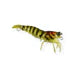 Pro Lure Hybrid Shrimp 58mm