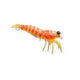 Pro Lure Hybrid Shrimp 58mm