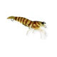 Pro Lure Hybrid Shrimp 58mm