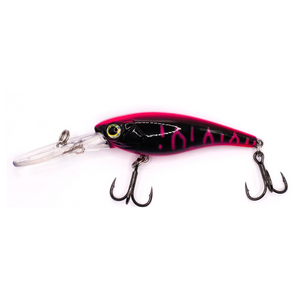 Shake n Dance Shad