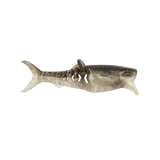 CrushCity Infiltrator Soft Plastic Lure | Rapala