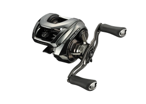 Daiwa Steez 24 SV TW 100H