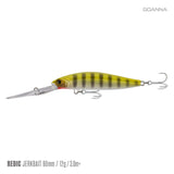 Samaki Redic DS80