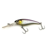 Shake n Dance Shad