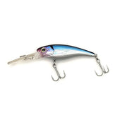 Shake n Dance Shad