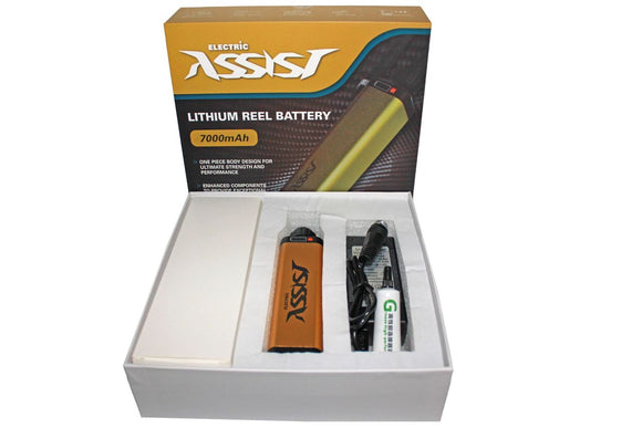 Wilson Reel Battery Kit