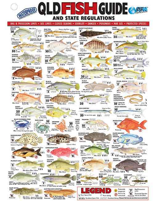 AFN Qld Fish ID Card