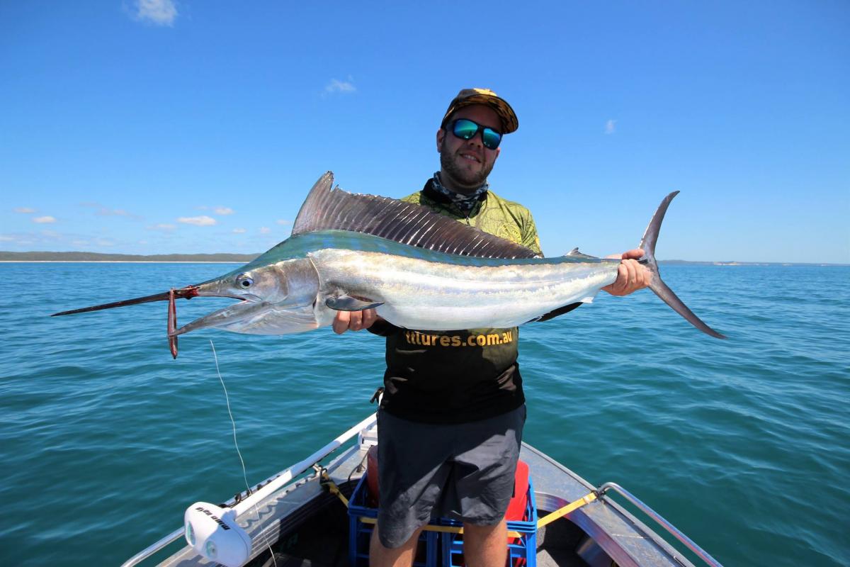 TESTED: Scary Sharp Mk11 - Fishing World Australia