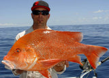 tackle-world-kawana-fishing-store - Mustad 7766D Box