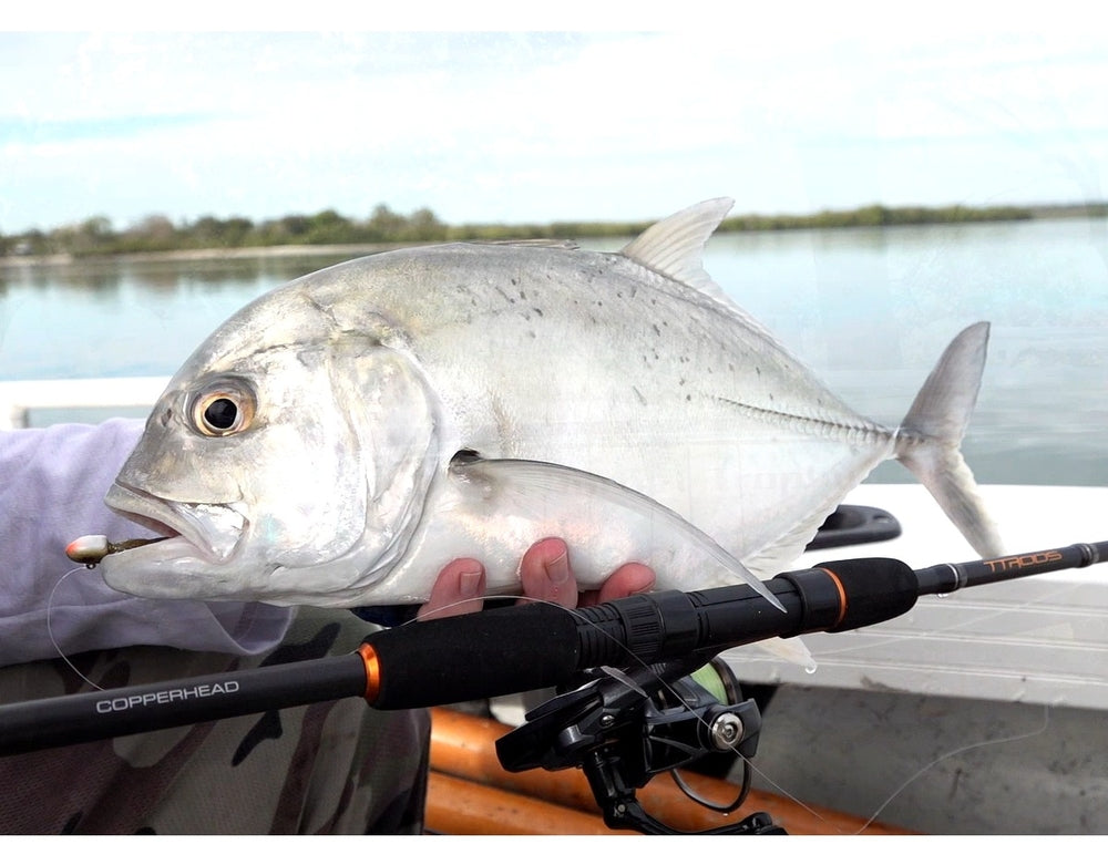 copperhead fishing pole TTRods Copper Head CHS702L 1-3 kg