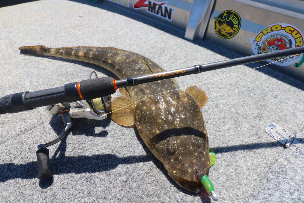 copperhead fishing pole TTRods Copper Head CHS702L 1-3 kg