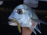 tackle-world-kawana-fishing-store - Tackle Tactics Finesse HeadlockZ Jig Heads